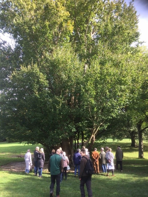 Garden Walk