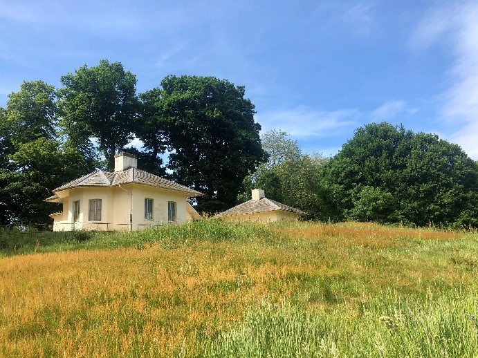 Kenwood Dairy